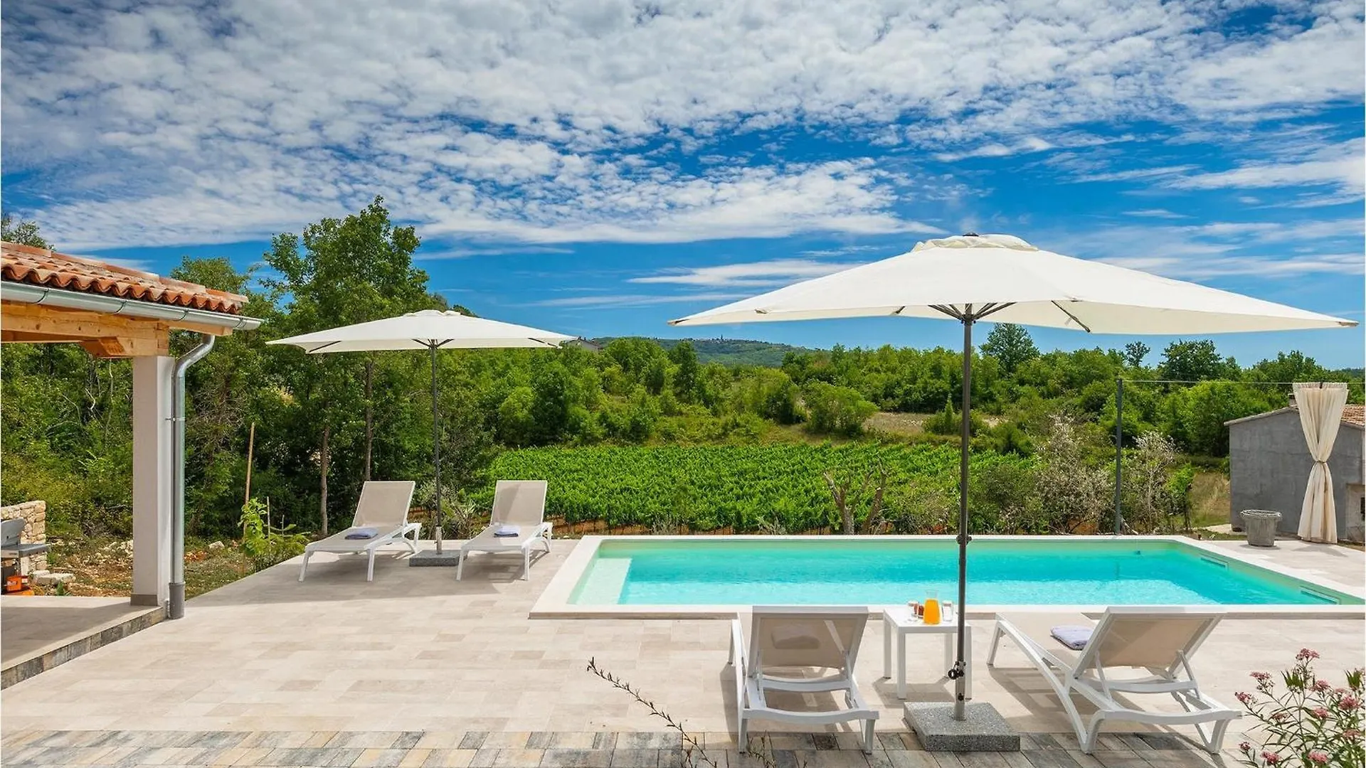 Villa Klara Buzet Sovinjak Holiday home