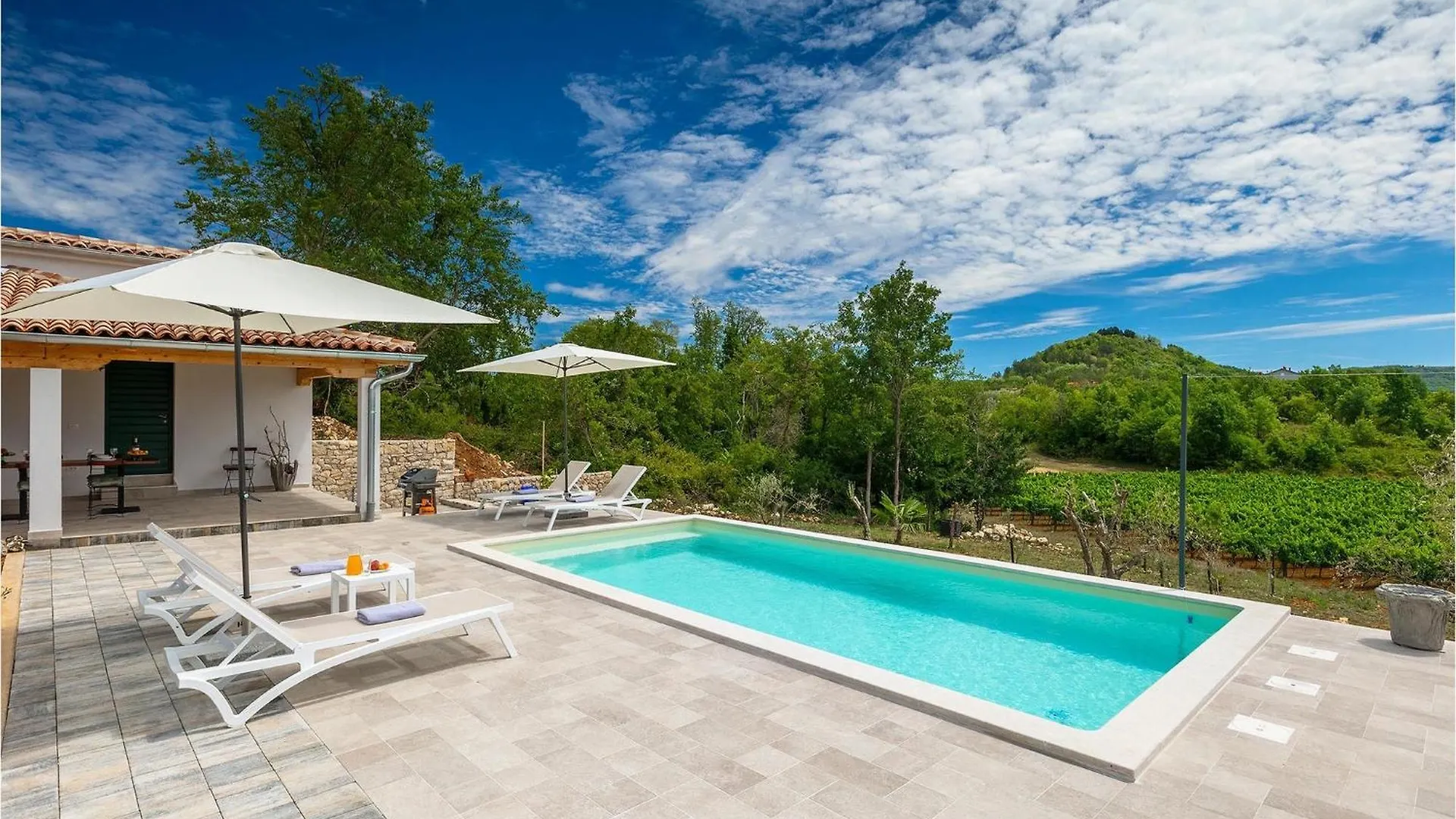 Holiday home Villa Klara Buzet Sovinjak Croatia